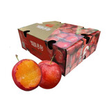 驰振智利进口樱桃李纯甜红李子新鲜时令孕妇水果礼盒装年货送礼水果 3斤甄选果【高复购装】