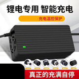OBRK锂电池电动车充电器48V3A36V60V5A24V2A72伏锂离子哈雷平衡车滑板 48V2A DC头(电压54.6V)