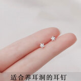 向晚星星银耳钉女耳饰睡觉免摘养耳洞日常百搭精致潮 锆石星星耳钉一对F1104