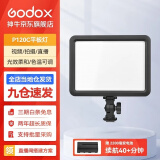 神牛（Godox） 补光灯P120C摄影灯单反摄像机相机摄像灯影视拍照婚庆常亮灯光 P120C平板灯 标配