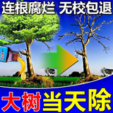 烂树根剂大树除树一滴死一针倒强力除树剂杀大树烂根王专用药正品 两瓶装【树死根烂】 100ml 2瓶