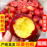 菓灵稥【现货】东北鸡心果小苹果锦绣海棠果沙果新鲜水果甜脆 3斤特大果 送礼佳选 商超品质