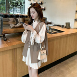 艾珠儿（Aizhuer）连衣裙春秋季新款女装韩版时尚马甲法式小个子遮肉显瘦两件装裙子 图片色 S