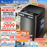 小天鹅（LittleSwan）波轮洗衣机全自动 小乌梅 【TB100V85PLUS] 水魔方防缠绕 超微净泡洗 直驱变频 炫彩大屏 10公斤