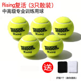 天龙（Teloon） 天龙网球训练球初学进阶专业比赛网球练习用球 3只 天龙Rising【送护腕】