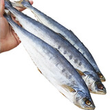 Simaill1条装大号马鲛鱼干400g-600g 真空包装咸鱼干 淡干咸鱼鲅鱼干货