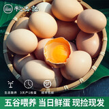初土记土鸡蛋30枚鸡蛋礼盒 纯粮散养鲜鸡蛋 柴鸡蛋笨鸡蛋 原产地直发 30枚