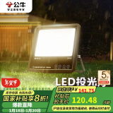 公牛（BULL）LED投光灯户外路灯庭院灯露营灯 IP65防水高亮度100W-3000K暖白光