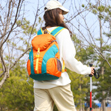 户外运动双肩包女2024新款骑行包儿童旅游小背包轻便多功能登山包 桔色L 大号25L