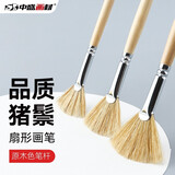 中盛画材（transon） 油画笔 猪鬃扇形笔水粉画笔丙烯画笔套装画板刷子鱼尾画笔单支 6301 6支装