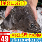 海皇湾深海鲽鱼头 鸦片鱼头 超大比目鱼头海鲜 生鲜鱼类 超大鲽鱼头 750g