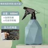 得力喷壶浇花养花浇水壶喷雾器喷水壶家用小型园艺洒水壶消毒喷雾水壶 600ML【湖水蓝】