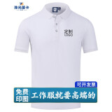 珠光莱卡工作服polo定制印字工衣T恤定做衣服文化衫刺绣logo短袖公司工装 白色【B款】 L