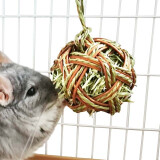 草先生（MR.HAY）磨牙用品兔子天竺鼠荷兰猪龙猫磨牙食品磨牙苜蓿草饼草球草砖草块 精编带提草球10CM