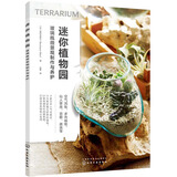 治愈系微景观 适合花店出售 也适合在家diy