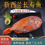 海升东 长寿鱼 新鲜海捕新西兰富贵鱼橙鲷鱼2-3斤生鲜 鱼类 海鲜水产 长寿鱼 一条装（2-2.5斤）