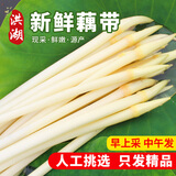 洪湖农家新鲜藕带3斤装 湖北特产 生鲜 新鲜蔬菜 洪湖藕带 藕尖 火锅食材 新鲜藕带3斤