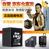 超威（CHILWEE）电瓶12V4.5Ah卷闸门安防消防电梯音响12V玩具童车UPS备用蓄电池