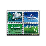 沈明收藏 JT邮票 1983年-1984年 T字头邮票 全新品 中国集邮套票 T83天鹅 邮票