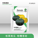 中科茂华蔬菜种子欧米甜中科靓绿板栗南瓜种子高圆绿栗新西兰南瓜甘面粉糯 中科靓绿5克/袋
