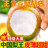 正宗山西玉露香梨子新鲜孕妇当季水果脆甜多汁3/5/10斤装整箱批发 净重3斤【尝鲜小果】