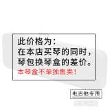 Sopicky电吉他包琴包 防水减压加厚耐用箱包挺立不变形高档 电吉他盒琴盒 仅限本店购电吉他 换盒 单拍无效