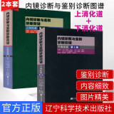 内镜诊断与鉴别诊断图谱下消化道第2版+内镜诊断与鉴别诊断图谱上消化道第2版胃镜诊断图谱