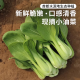 密农人家 鲜嫩小油菜 农家小叶油菜  适合清炒做汤叶菜小青菜新鲜蔬菜300g