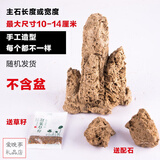 上水石吸水石小型假山盆景石头奇石微景观赏原石造景装饰摆件 10-14cm吸水石不含盆送草籽配石