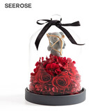 西罗斯（SEEROSE）永生花丘比特熊保鲜玫瑰花束高级春节情人节生日礼物送女朋友老婆 丘比特熊-嫣红 全国7仓发-不支持代写贺卡