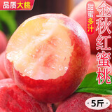 采缇山东蒙阴金秋红水蜜桃大果5斤毛桃当季新鲜水果桃子脆甜整箱孕妇 三斤装 中果