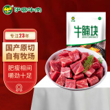 伊赛 (中国绿色产品) 原切谷饲牛腩块1kg 【不注水不滚揉真国产】冷冻