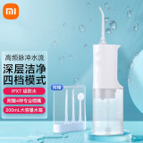 米家 小米电动冲牙器洗牙器美牙仪 高频脉冲水流 4档模式 4种专业喷嘴 45天续航 MEO701