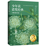 少年读诺奖经典——伟大的小说（阅读诺奖经典，做一个格局远大的少年）
