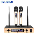 HYUNDAI现代（HYUNDAI） HYUNDAI/现代 H-200无线话筒一拖二无线麦克风会议家用卡拉OK话筒 H150