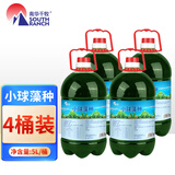 南华千牧 小球藻藻种绿藻藻种鱼塘虾蟹塘增氧肥水培藻水产养殖开口饵料 小球藻种/5L*4桶 水产养殖肥水