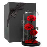 JoyFlower 永生花玫瑰玻璃罩礼盒表白母亲节520情人节礼物结婚送女友老婆