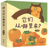 它们从哪里来精装全4册 柿子 豆腐 蛤蜊 菠萝 全彩大开本知识绘本，融合科学与人文，启发孩子跨学科思维！