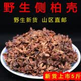 沂蒙山野生侧柏壳5斤 散装枕芯 白头发柏树壳柏子壳挑选 柏壳子 侧柏壳手工挑选5斤