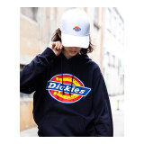 dickies 卫衣男女同款城市轻户外大logo印花连帽卫衣DK007060 黑色 L