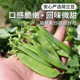 密农人家荷兰豆 农家种植豌豆荚 脆豆角 新鲜蔬菜 清脆爽口青豆角250g