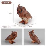 贝可麦拉（beikemaila）【精选】儿童仿真恐龙动物玩具模型早教认知过家家生日礼物男女孩 猫头鹰仿真