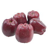 【新鲜采摘】红六福 甘肃花牛苹果新鲜水果苹果 70-80果带箱10斤
