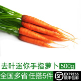 绿食者 去叶手指胡萝卜500g 水果小胡萝卜 健康轻食新鲜蔬菜沙拉食材