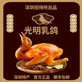 光明鸽 GUANG MING SQUAB光明乳鸽深圳特产正宗光明招待所美食深圳手信高档送礼盒真空熟食 红烧乳鸽2只【泡沫箱装】冷冻款