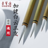 【全网低价】荣宝斋 毛笔套装 兼毫白云书法练字大中小楷 文房四宝国画字帖临摹成人初学者学生 加健白云套装