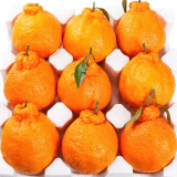 驻晨（ZHUCHEN）四川丑橘 丑八怪橘子新鲜当季不知火丑橘子孕妇水果 5斤精选优果