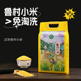 龙谷乡 山西晋城特产鲁村小米真空当季年新米五谷杂粮黄小米月子米粥米 500g*1袋