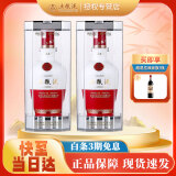 五粮液（WULIANGYE）浓香型白酒 高端礼品 52度 500mL 2瓶 1618双支装