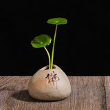 鹅笙记禅意茶桌陶瓷摆件茶宠仿石头装饰品茶台办公室桌面水培花器 佛字